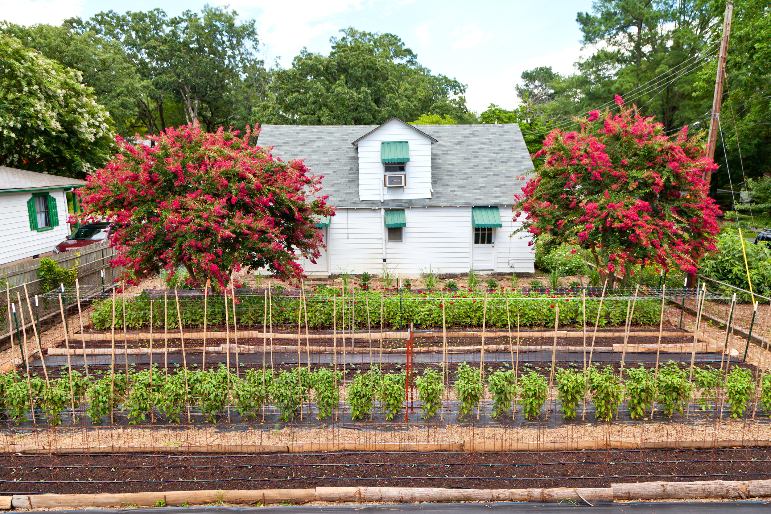 URBAN FARMING: It strengthens local food systems.    Photo by Matthew Martin