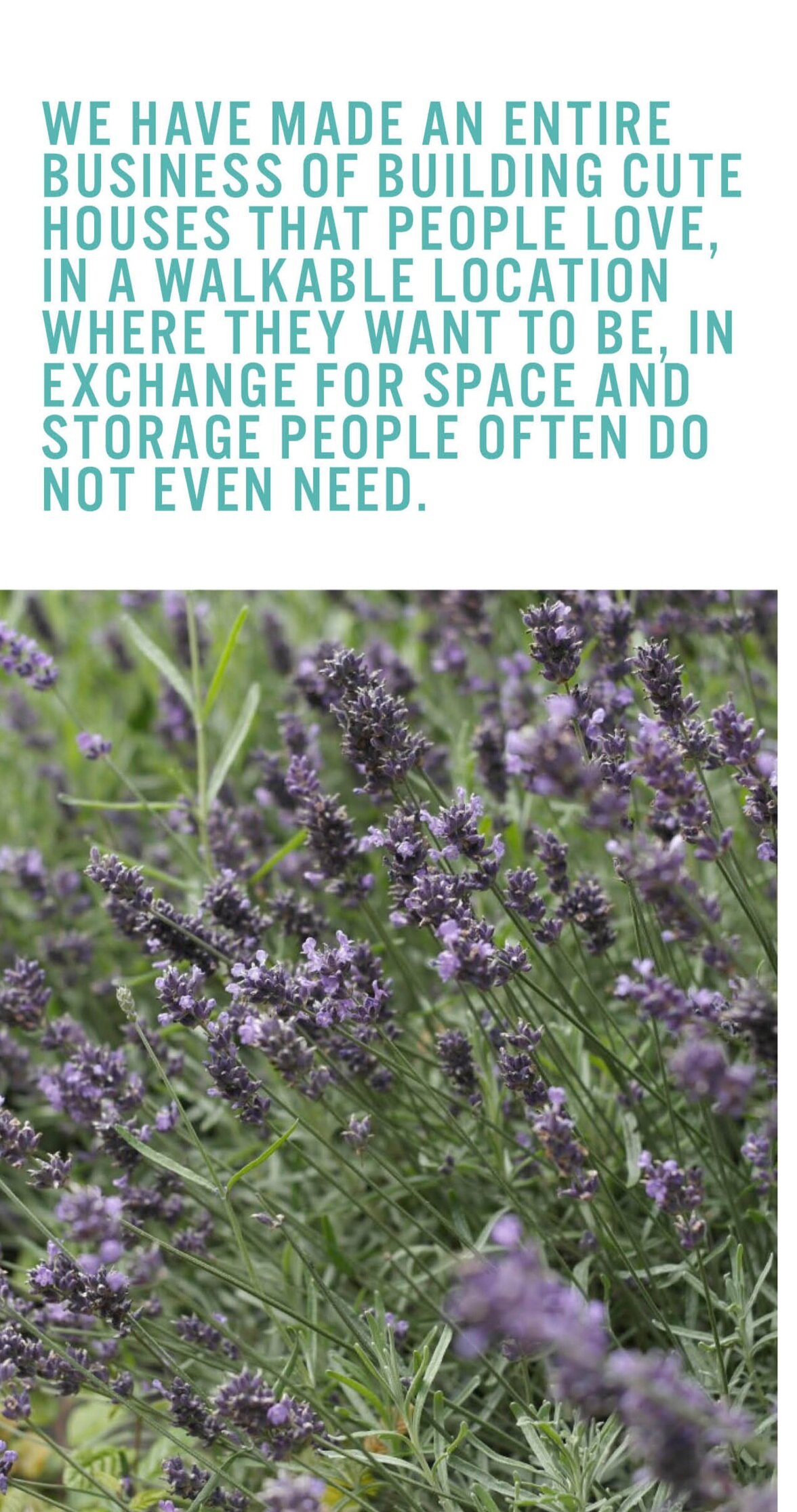 LAVENDER: Developers should consider planting medicinal or edible herbs.&nbsp;