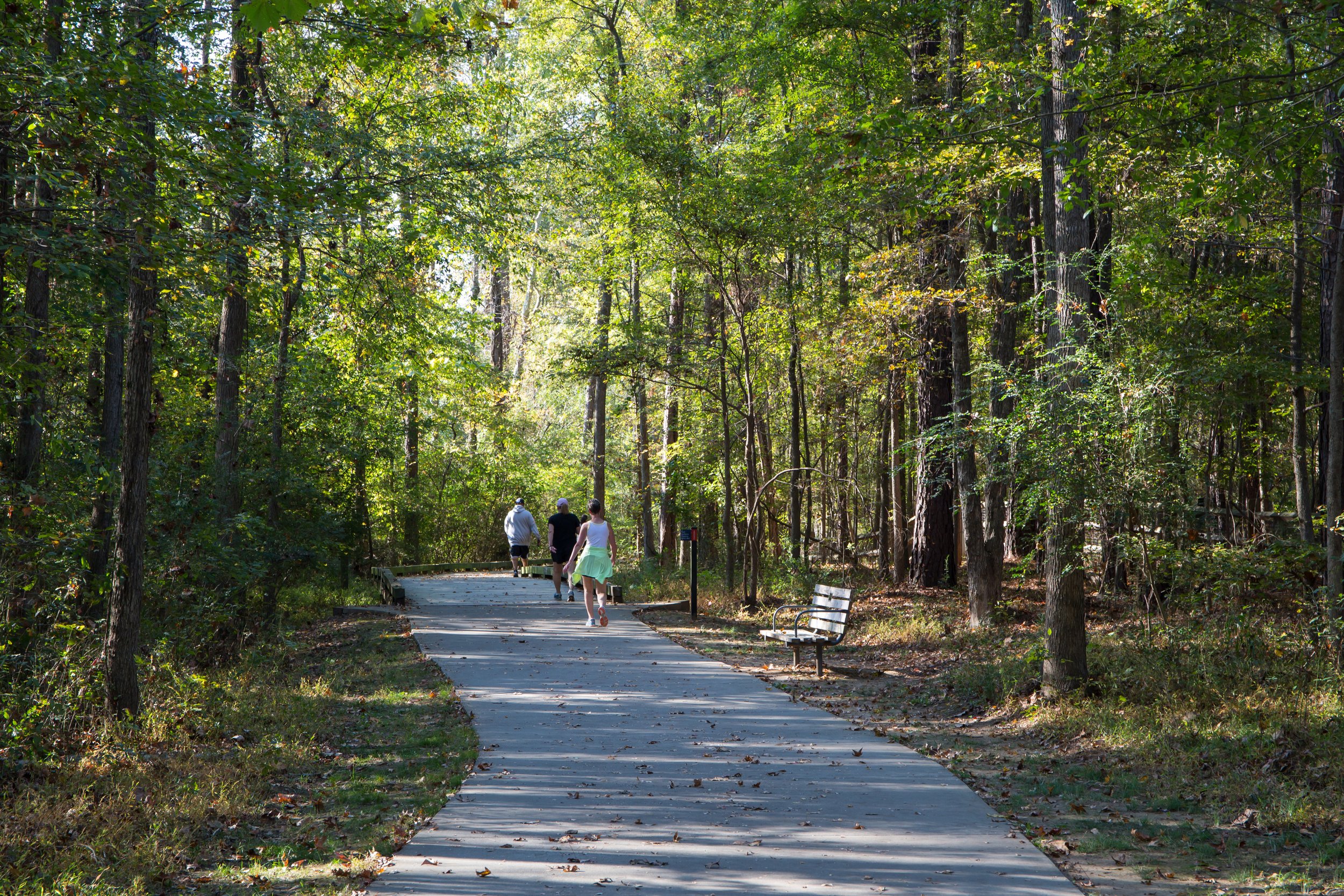 ROLLING ON  THE GREENWAY 